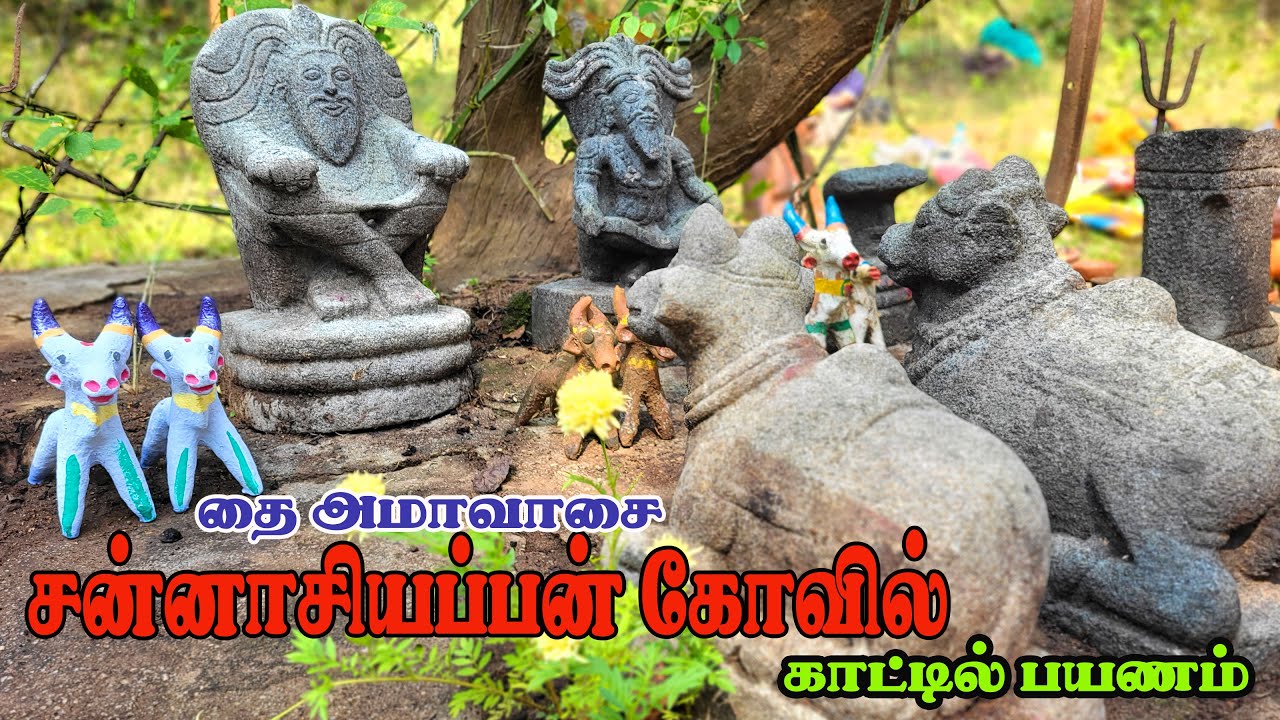 மேற்கு தொடர்ச்சி மலையின் மறைக்கப்பட்ட ஆன்மீக அதிசயம்! Village Vlogs RK