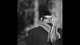 The Special Envoys combatting antisemitism