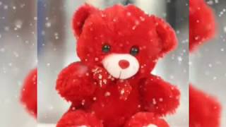 Teddy Day Status | Trending Whatsapp Status | Happy Teddy Day | AMDalwadi