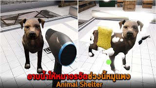 อาบน้ำให้หมาจรจัดช่วงนี้หมูแพง Animal Shelter