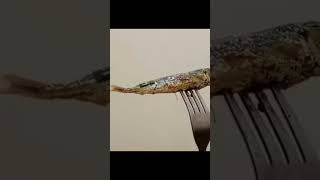 Dinasaurus #meems #cover #memelucuuhuhuh #storywa #memsye #funny