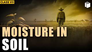 Moisture in Soil | Chapter 9 | Soil | Class 7 | PuStack