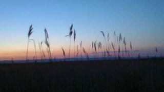 Space Cube - Polar Station (1994)