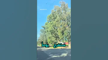 هذه هي الحياة شئت أم أبيت Advice اكسبلور نصائح كلام من ذهب 