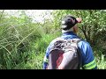 Recorrida por el monte marginal y pantanos del Gualeguaychù