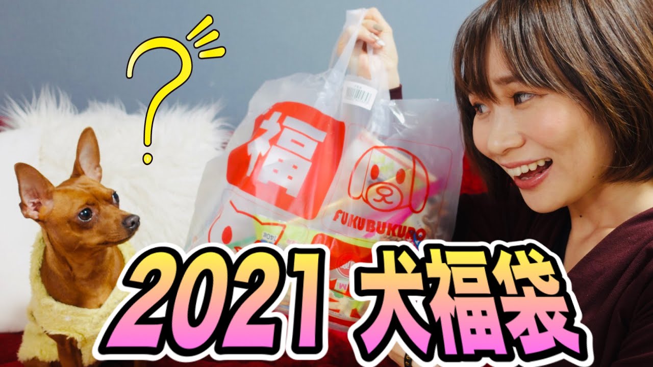21福袋 犬福袋 スーパーで購入 21の中身を犬と一緒に紹介してみた Youtube 21福袋 犬福袋 スーパーで購入 21の中身を犬と一緒に紹介してみた Youtube