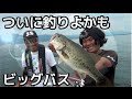 秦拓馬×釣りよか　琵琶湖謎の○っぱいスポットでビッグバス！