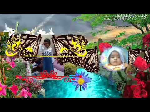 Bingkai Bunga Video Foto Di Kinemaster Youtube