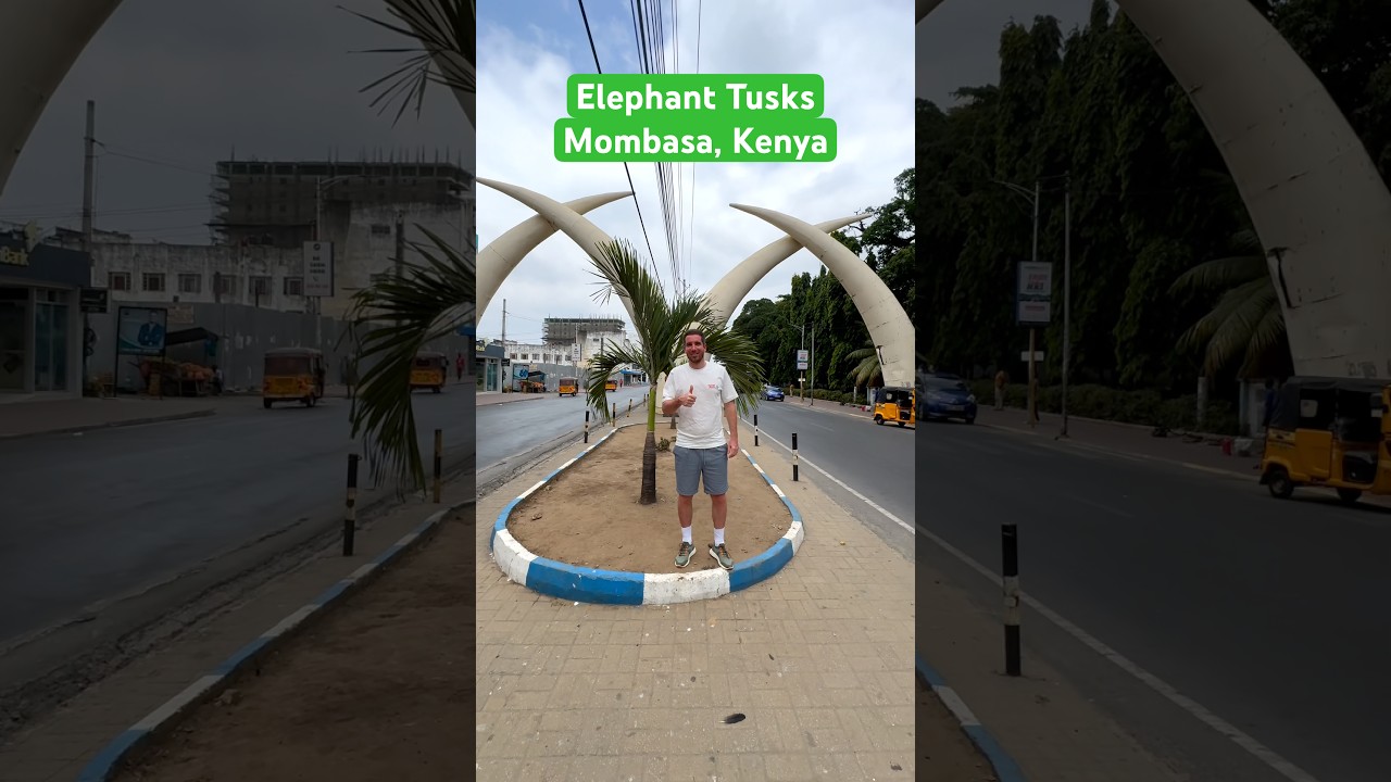 Elephant Tusks - Mombasa, Kenya #mombasa #kenya #tusks #elephant #travel #shorts ✔️ #177