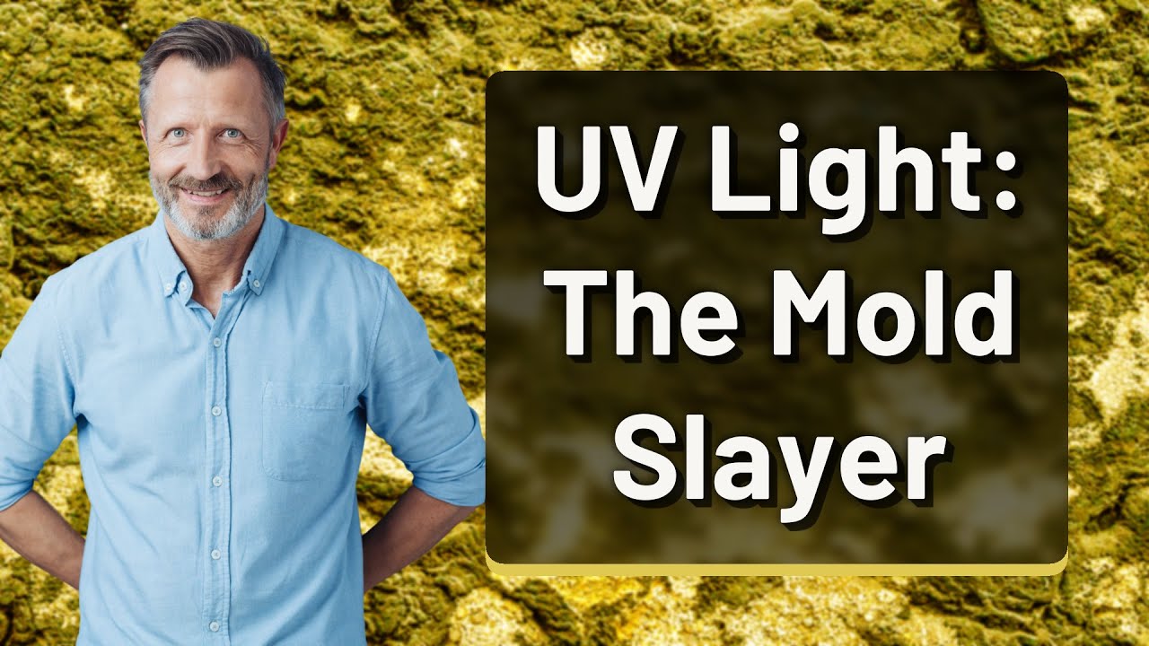 UV Light: The Mold Slayer 