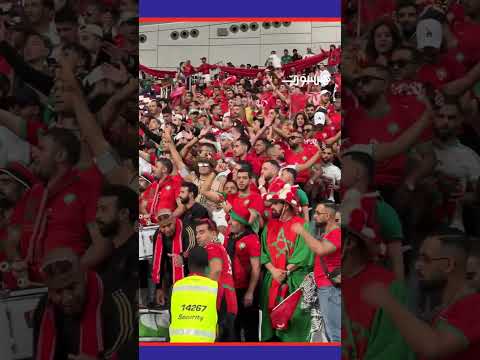 الفيراج يوحد أخيرا ألتراس سبوعة وألتراس روسو فيردي في نصف نهائي كأس العرب  