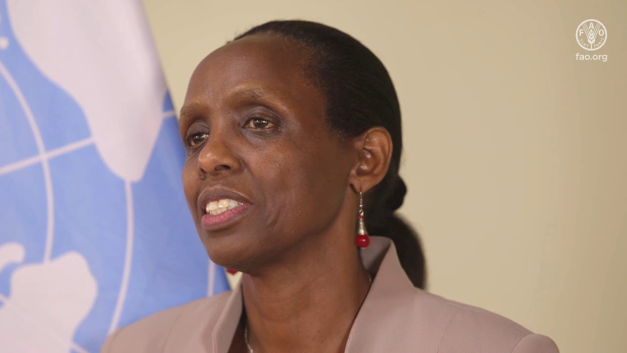 United Nations Secretary-General’s Special Envoy for the 2021 Food Systems Summit