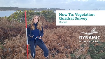 How To: Dune Vegetation Quadrat Surveys, Dorset