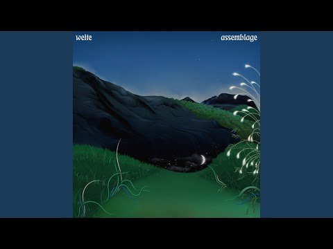Murmuration