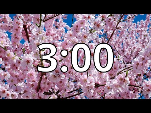 3 Minutes Timer with Music | Cherry Blossom Timer