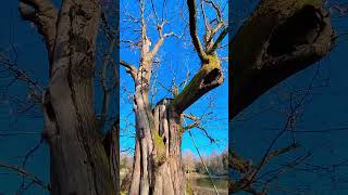 Eine Geschichte aus meinem Leben #neuanfang #autorin #einfachmalmachen #natur