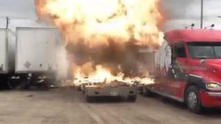 Buffalo Driver Training