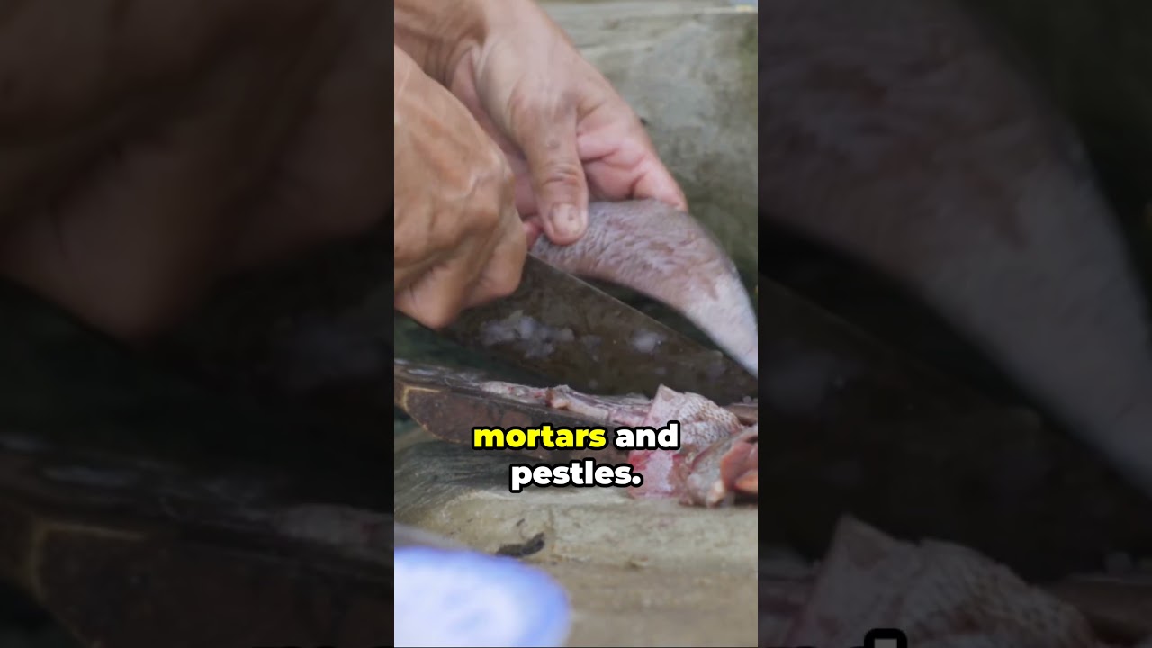 Caveman Cooking Showdown: Modern Chefs, Primitive Tools