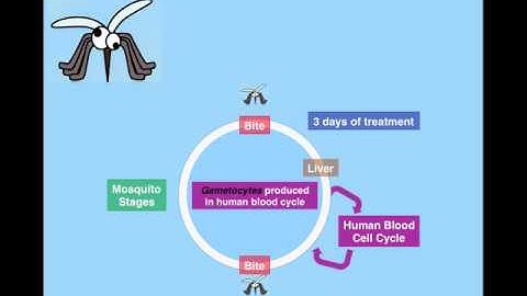 RSC Take 1...Minute for Chemisty in Health