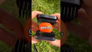 Comment the answer if you know it ||