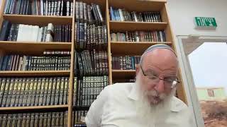 דף היומי - מסכת עבודה זרה [שיעור 14 כב:-כד.] | הרב אליעזר קשתיאל