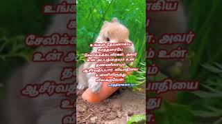 ஒர வசனம Orey Vasanam