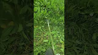 #grass #cuttermaster