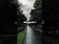 في مدى النور سأمضي 