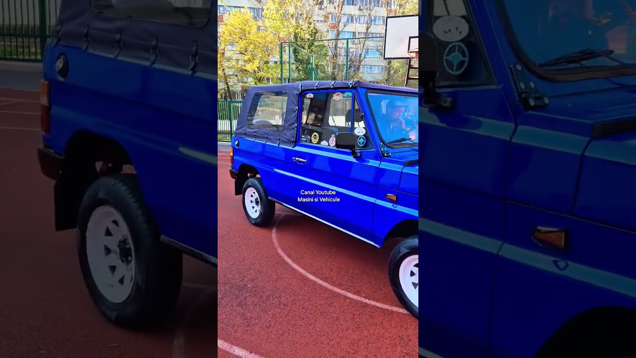 Dacia/Aro 10 Restaurat Impecabil 