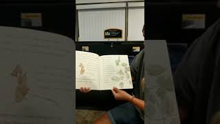 Storytime - Insect Detective