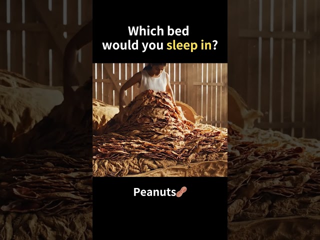 Which Bed Would You Sleep In?🛋️#asmr #aiasmr #shorts #relaxing #oddlysatisfying #bed