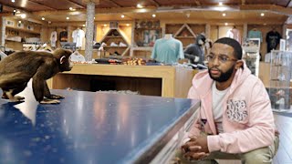 Solowke - Monkey Official Music Video