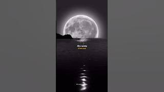 Aku Sayang x Sprinter lyrics edit - Aesthetic Status #lyrics #akusayang #sprinter 🤍✨