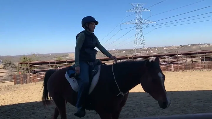 Liberty lesson with Patrick Sullivan, bridleless