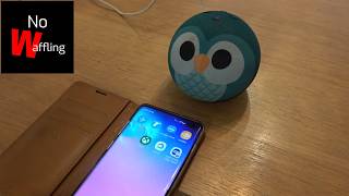 How to Turn Amazon Echo Dot Kids Device into a Normal Echo Dot - Beginners guide