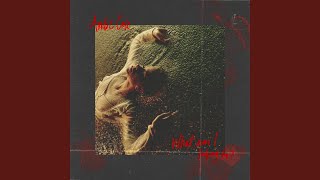 What Am I Looking For?