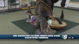 Spring turkey season begins Saturday