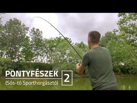 Pontyfészek (Sós-tó) Sporthorgásztó 2. RÉSZ | B&V Fishing