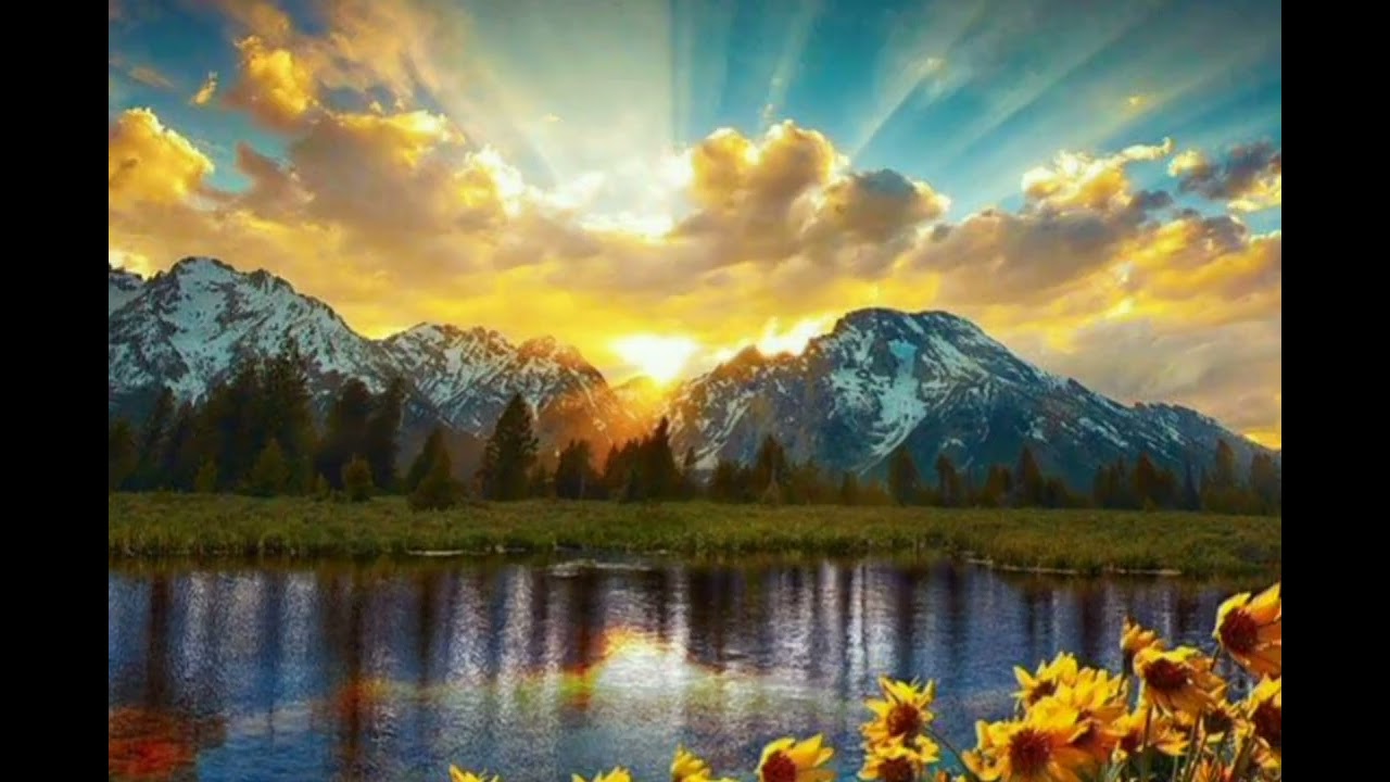 خيرة عامة 🌻🌿|أستخارة العلوية أم مرتضى 🌻🌿