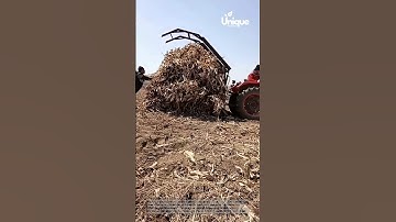 Tractor pulling corn stalks: tractor pulling a large load of corn stalks