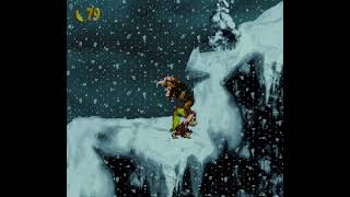 DKC4 - Blizzard Blitz playthrough