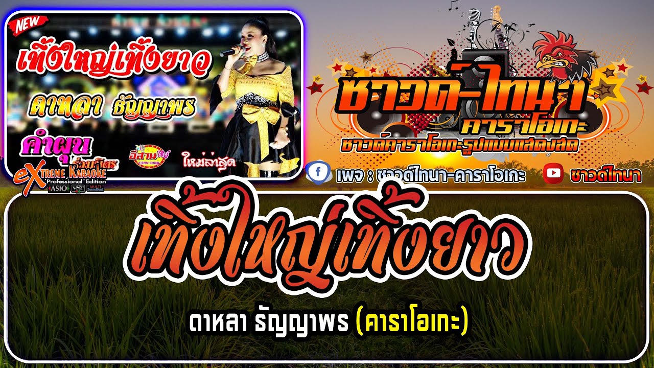 เทิ้งใหญ่เทิ้งยาว คาราโอเกะ - ดาหลา ธัญญาพร