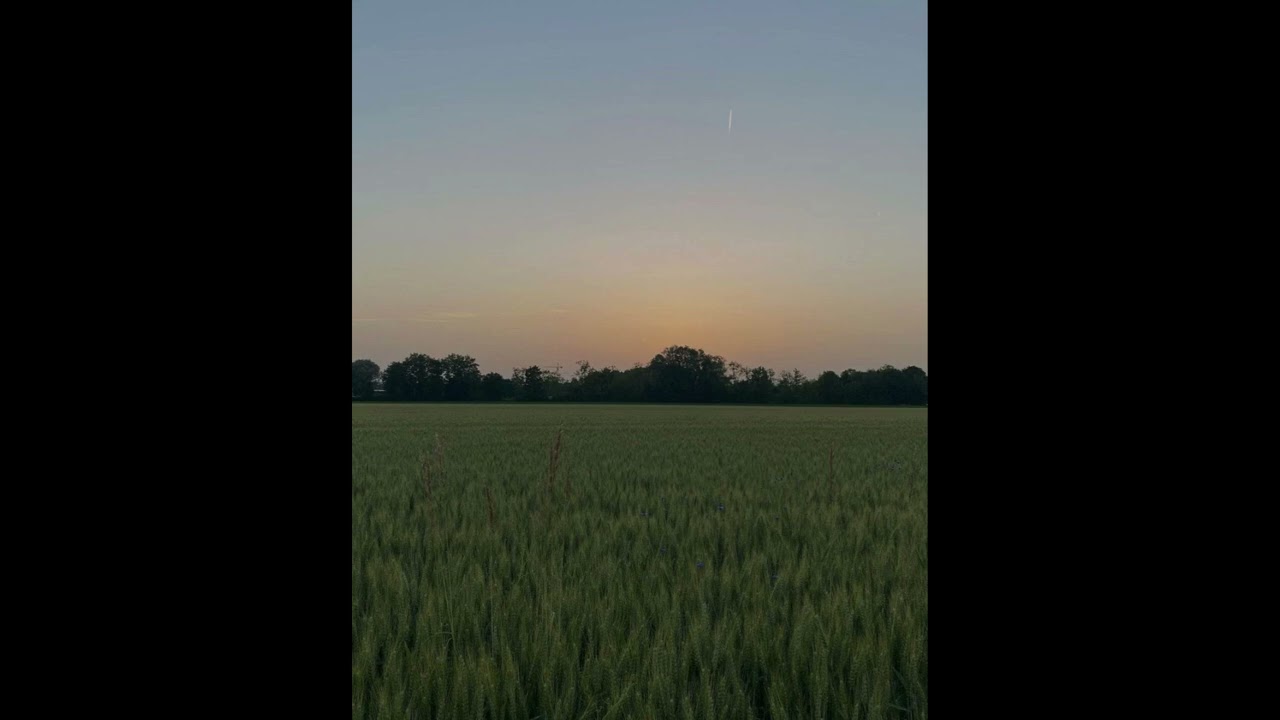 [FREE] pluggnb type beat - 