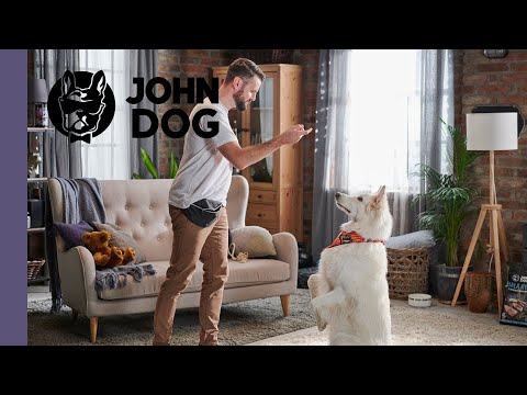 Sztuczka PRZYTUL MISIA - TRENING PSA - John Dog