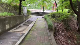 광주사직공원 영상