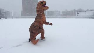 T Rex Snow Days!!! T Rex Snow Days!!!