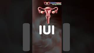 Advanced Fertility Treatments for Your Parenthood Journey | Aastha IVF 💕