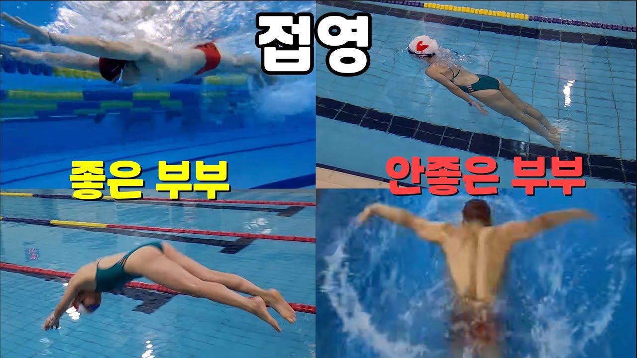 접영 라인이 이쁜 + 스타트를 이쁘게 하는