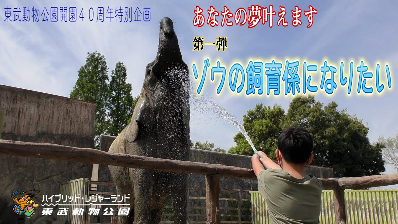 東武動物公園開園４０周年特別企画　「あなたの夢叶えます」第一弾　ゾウの飼育係になりたい