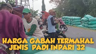 Kabar Terbaru Harga Gabah Di Desa Kenongosari.Kec.Soko#Pedesaan#Penggilinganpadi